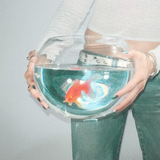 Fish Narc- Frog Song