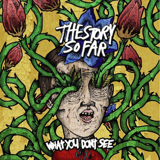 The Story So Far- What You Don't See (Vinyl)