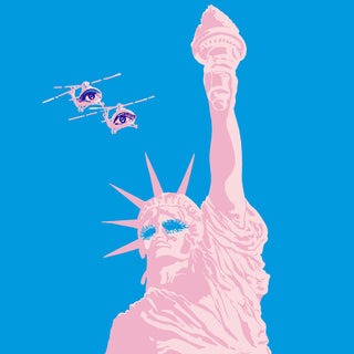 the album cover for Les Big Byrd - Iran Iraq Ikea [Colored Vinyl] (Org) (Red)