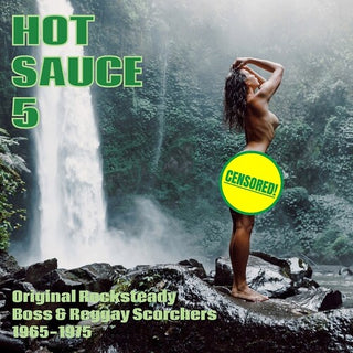 Various Artists- Hot Sauce V.5 (Various Artists) (Vinyl)