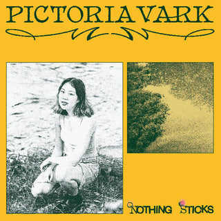 Pictoria Vark- Nothing Sticks (Vinyl)