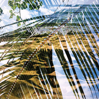 Dogs on Acid- Dogs On Acid