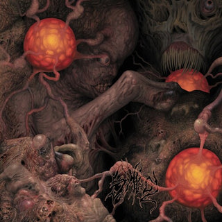 Sheol 4-Way Split- Sheol 4-way Split