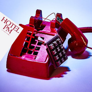 Peter Matson- Hotel Pm (Vinyl)