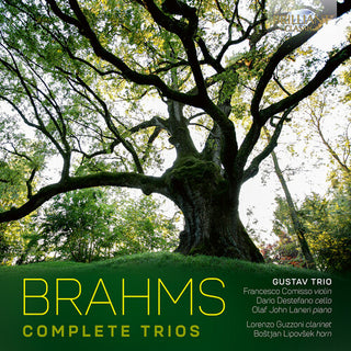 Simone Vallerotonda- Brahms: Complete Trios