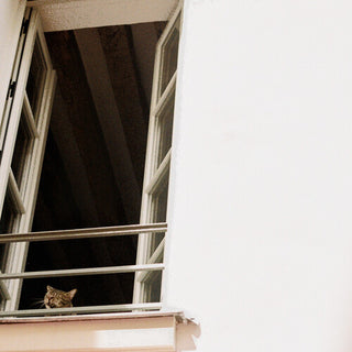 M(h)aol- Something Soft