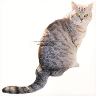 Sarter Kit- What I Am And What I'm Not