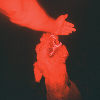 Eli Winter- A Trick of the Light (Vinyl)