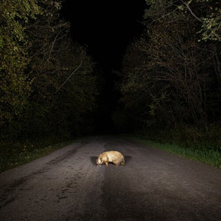Stonks- Badger (CD)