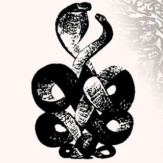 Bardo Pond- Volume 4 & 5