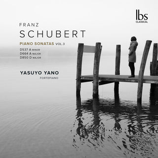 Schubert: Piano Sonatas, Vol. 3