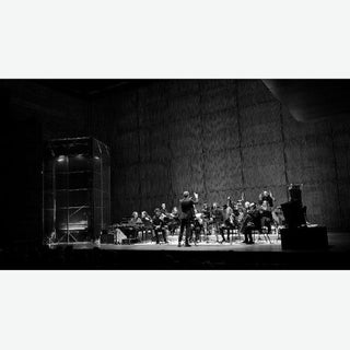 Jameszoo- Music For 17 Musicians (Vinyl)