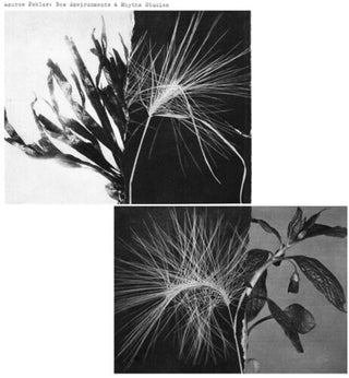 Andrew Pekler- New Environments And Rhythm Studies