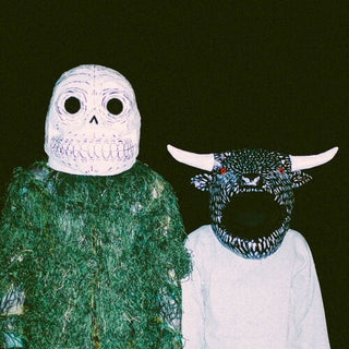 Slow Joy- A Joy So Slow at Times I Don't Think It's Coming