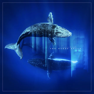 Naked Soul- Reverb From The Depths