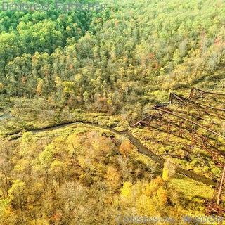 Bendigo Fletcher- Consensual Wisdom - Beige