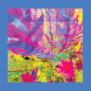 Reds Pinks & Purples- The Past is a Garden I Never Fed (Vinyl)