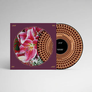 Richard Hawley- Coles Corner: 20th Anniversary - Half-Speed Mastered Zoetrope Picture Diss