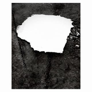 the album cover for Zelienople - Everything Is Simple