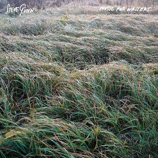 Steve Gunn- Music For Writers (Vinyl)