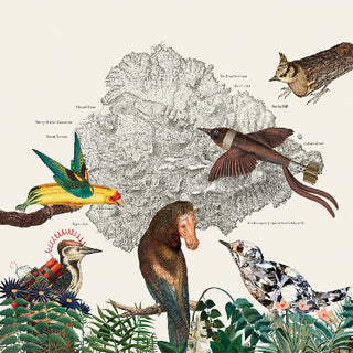Friendly Rich- The Birds of Marsville (Vinyl)