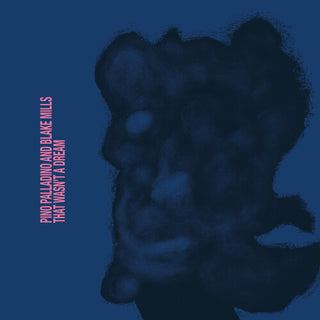 Pino Palladino & Blake Mills- That Wasn't A Dream