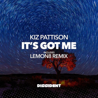 Kiz Pattison- It's Got Me