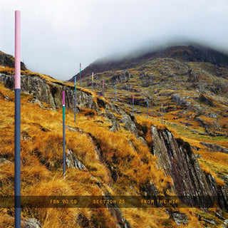 Section 25- From The Hip