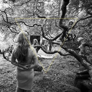 Dao Strom- Tender Revolutions