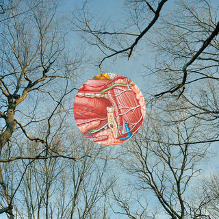 They Might Be Giants- Glean