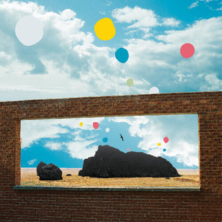 Admiral Fallow- First Of The Birds (Vinyl)