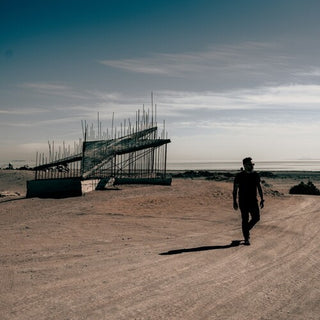 Matt Pryor- The Salton Sea - Green