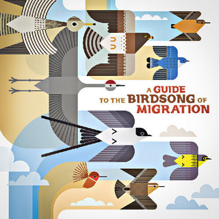 Various Artists- A Guide to the Birdsong of Migration (Various Artists)
