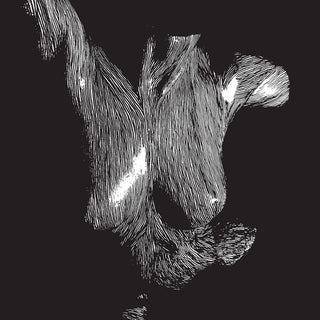 Oceansize- Self Preserved While The Bodies Float Up