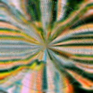 Nils Hoffmann- Everlight