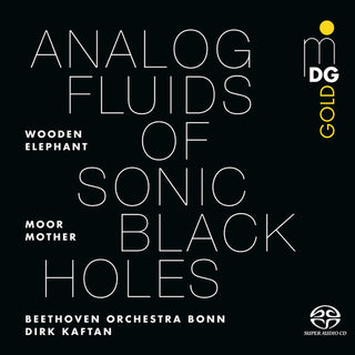 Moor Mother- Analog Fluids of Sonic Black Holes (Vinyl)