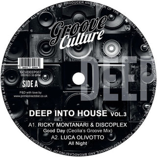 Various Artists- Deep Into House Vol. 3 / Various (Vinyl)