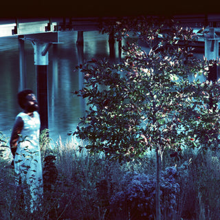 Jjjjjerome Ellis- Vesper Sparrow