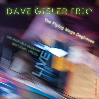 Dave Trio Gisler- Flying Mega Doghouse - Live