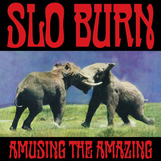 the album cover for Slo Burn - Amusing The Amazing [RSD Black Friday 2025]
