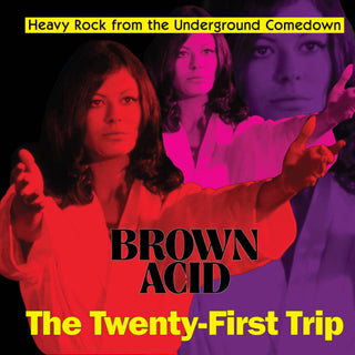 the album cover for Brown Acid - The Twenty-First Trip / Various - Brown Acid - The Twenty-First Trip / Various