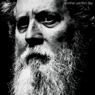 the album cover for Bill Orcutt - Another Perfect Day