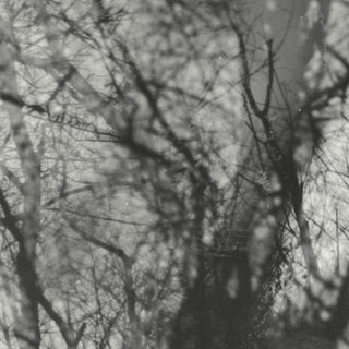 the album cover for Grouper - Way Their Crept [Reissue]