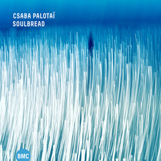 the album cover for Csaba Palotai - Soulbread