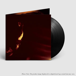 the album cover for Skepticism - Stormcrowfleet (Gate) [With Booklet] (Aniv)