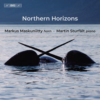 the album cover for Markus Maskuniitty - Northern Horizons