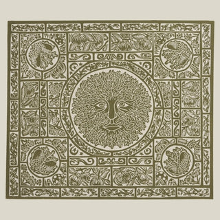 the album cover for Fuzzy Lights - Fen Creatures