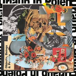 the album cover for Urlaub In Polen - Objects Beings & Parrots