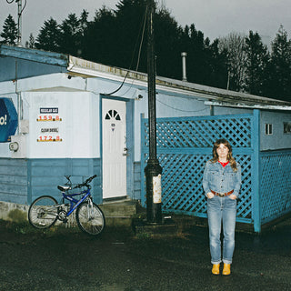 the album cover for Pony Gold - High Road Reverie
