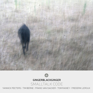 the album cover for Yannick Peeters - Smalltalk Code